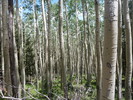 photo thumbnail #10