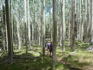 photo thumbnail #13