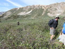 photo thumbnail #3
