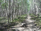 photo thumbnail #3