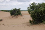 photo thumbnail #15