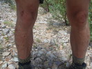 photo thumbnail #8