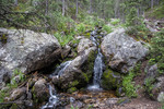 photo thumbnail #10