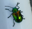 photo thumbnail #3