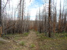 photo thumbnail #5