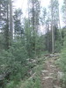 photo thumbnail #3