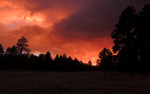 photo thumbnail #11