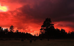 photo thumbnail #13
