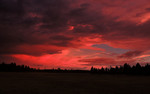 photo thumbnail #14