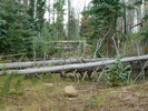 photo thumbnail #2