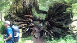 photo thumbnail #11