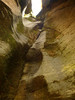 photo thumbnail #14