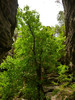 photo thumbnail #15