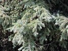 photo thumbnail #14