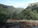 photo thumbnail #9