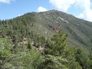 photo thumbnail #13