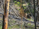 photo thumbnail #11