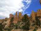 photo thumbnail #14