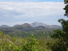 photo thumbnail #7