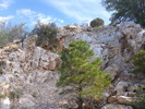 photo thumbnail #10