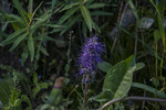 photo thumbnail #2