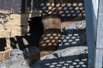 photo thumbnail #11