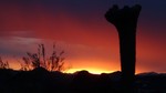 photo thumbnail #1