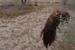 photo thumbnail #6