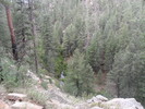 photo thumbnail #6
