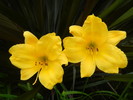 photo thumbnail #1