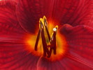 photo thumbnail #11