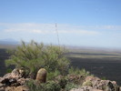photo thumbnail #15