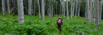 photo thumbnail #10