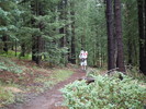photo thumbnail #7