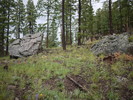 photo thumbnail #9