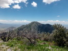 photo thumbnail #8