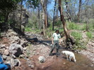 photo thumbnail #9