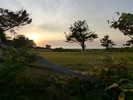 photo thumbnail #15
