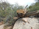 photo thumbnail #13