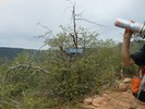 photo thumbnail #14