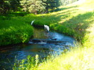 photo thumbnail #2