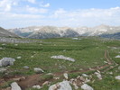photo thumbnail #6