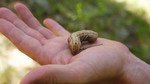 photo thumbnail #11