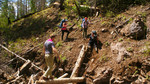 photo thumbnail #12