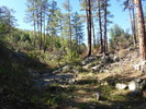 photo thumbnail #3