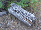 photo thumbnail #4