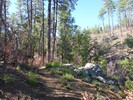 photo thumbnail #5