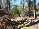 photo thumbnail #10