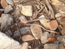 photo thumbnail #2
