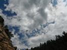 photo thumbnail #11